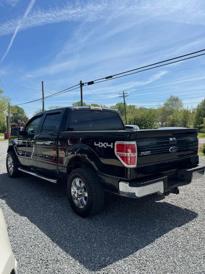 Ford F-150 4WD SuperCrew 139" XLT 2013