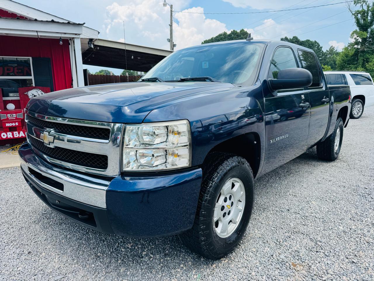 Chevrolet Silverado 1500 4WD Crew Cab 143.5" LT 2010