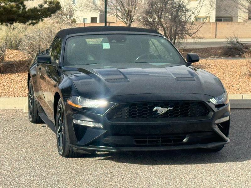 Ford Mustang EcoBoost Convertible 2023