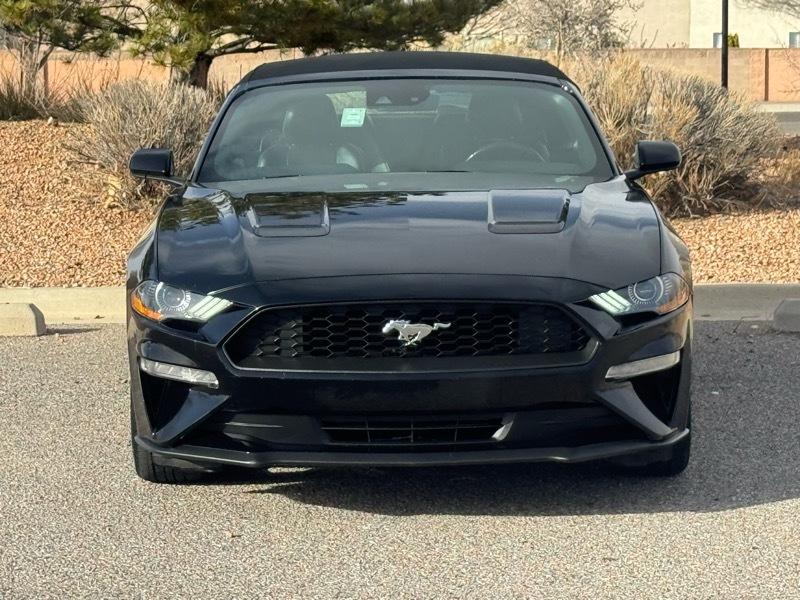 Ford Mustang EcoBoost Convertible 2023