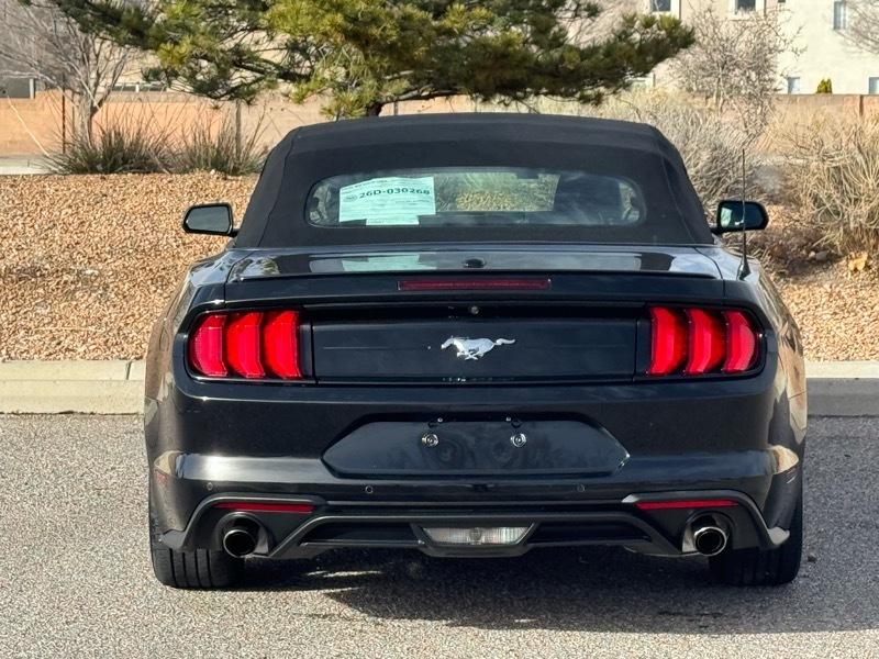 Ford Mustang EcoBoost Convertible 2023