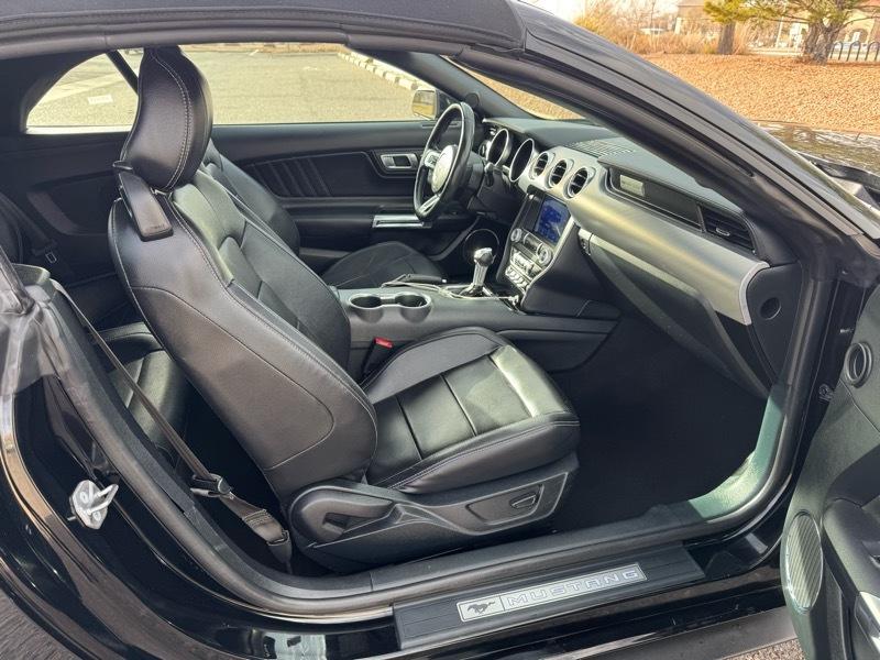 Ford Mustang EcoBoost Convertible 2023