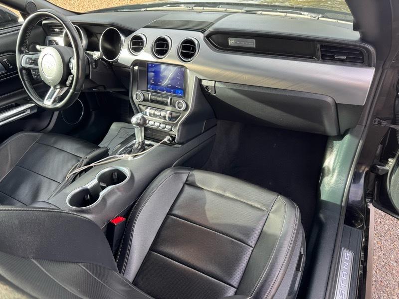 Ford Mustang EcoBoost Convertible 2023