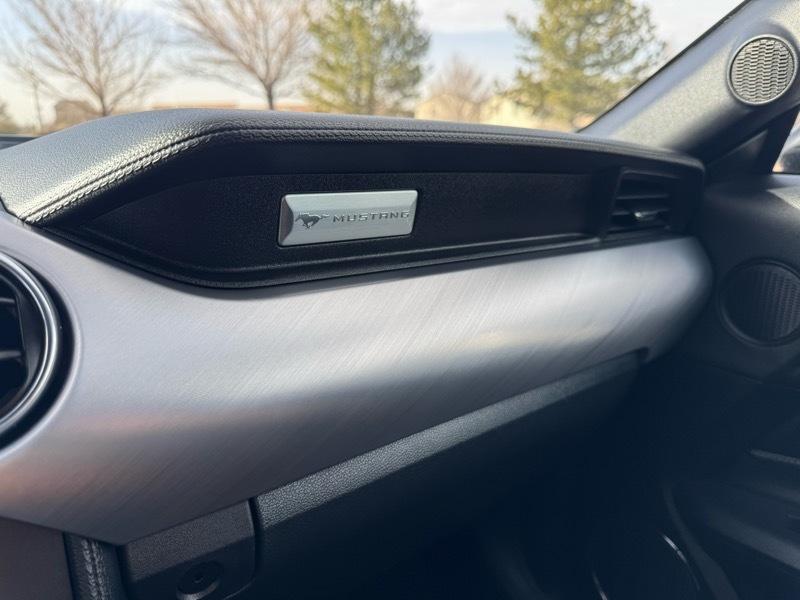 Ford Mustang EcoBoost Convertible 2023