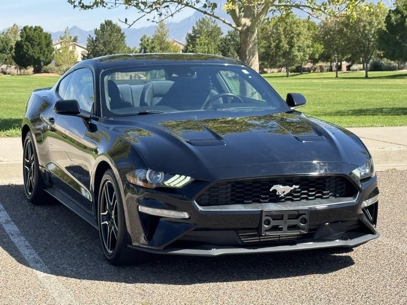 Ford Mustang EcoBoost Fastback 2021
