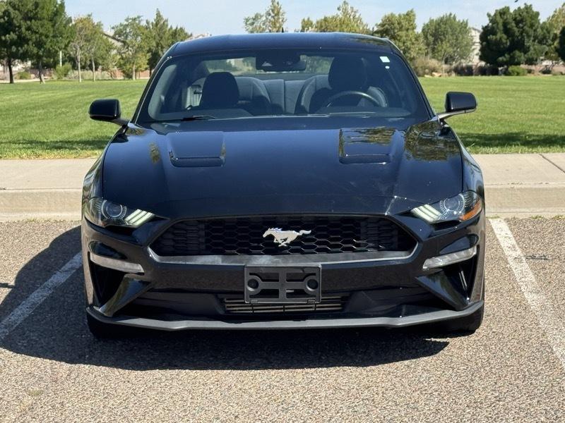 Ford Mustang EcoBoost Fastback 2021
