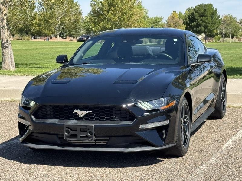 Ford Mustang EcoBoost Fastback 2021