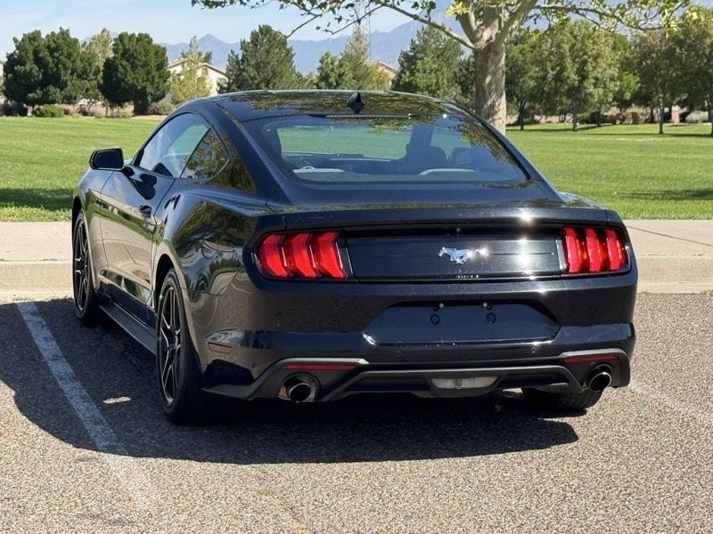 Ford Mustang EcoBoost Fastback 2021