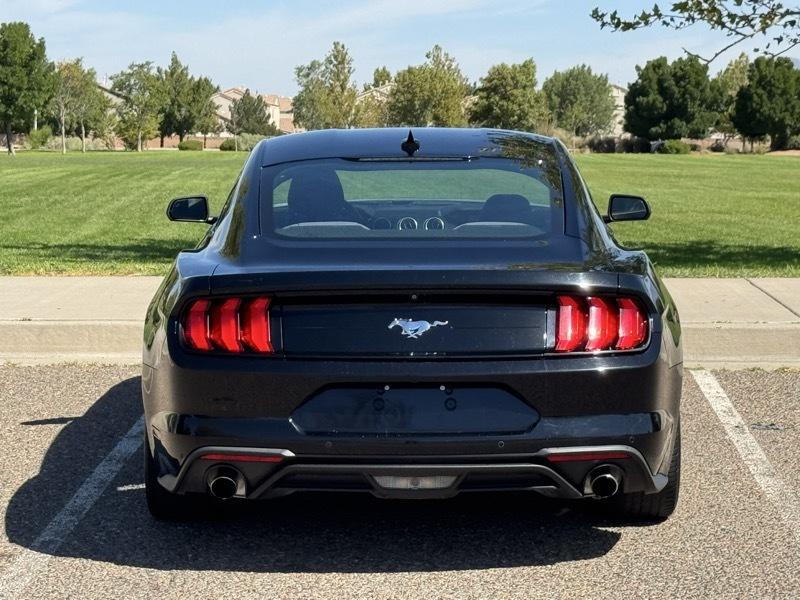 Ford Mustang EcoBoost Fastback 2021