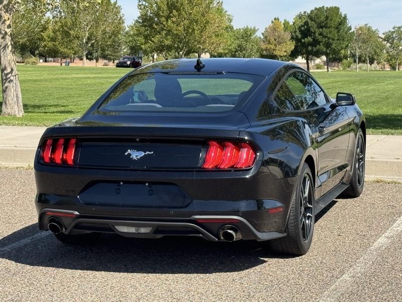 Ford Mustang EcoBoost Fastback 2021