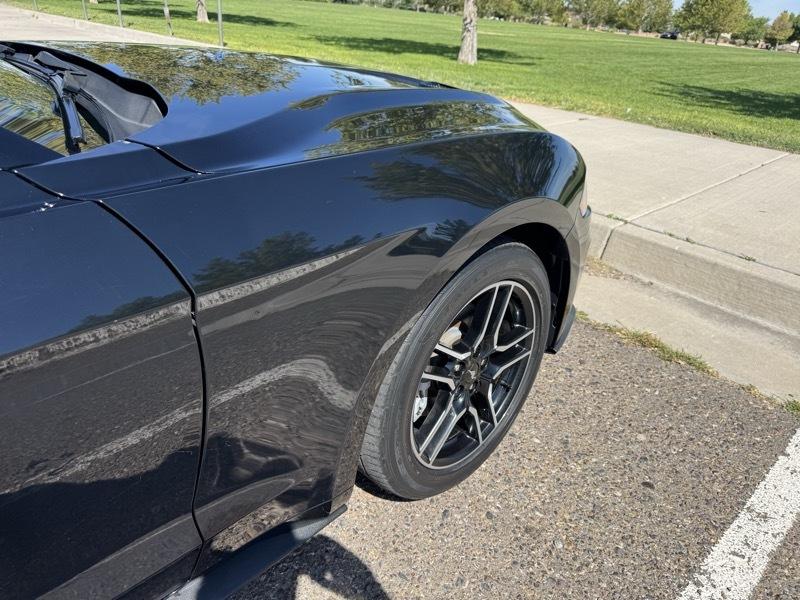 Ford Mustang EcoBoost Fastback 2021