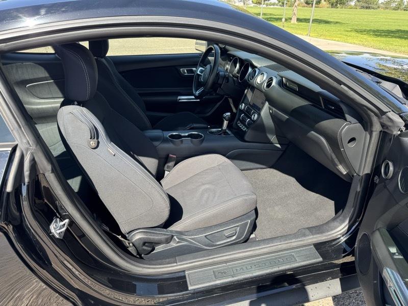 Ford Mustang EcoBoost Fastback 2021