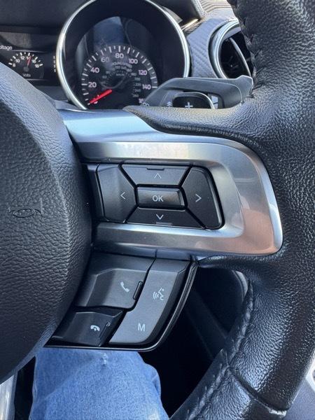 Ford Mustang EcoBoost Fastback 2021