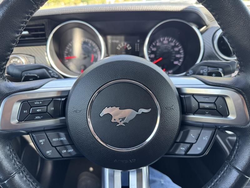 Ford Mustang EcoBoost Fastback 2021