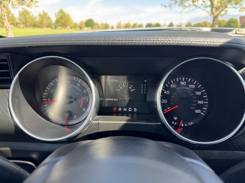 Ford Mustang EcoBoost Fastback 2021