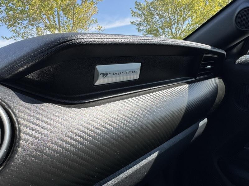 Ford Mustang EcoBoost Fastback 2021