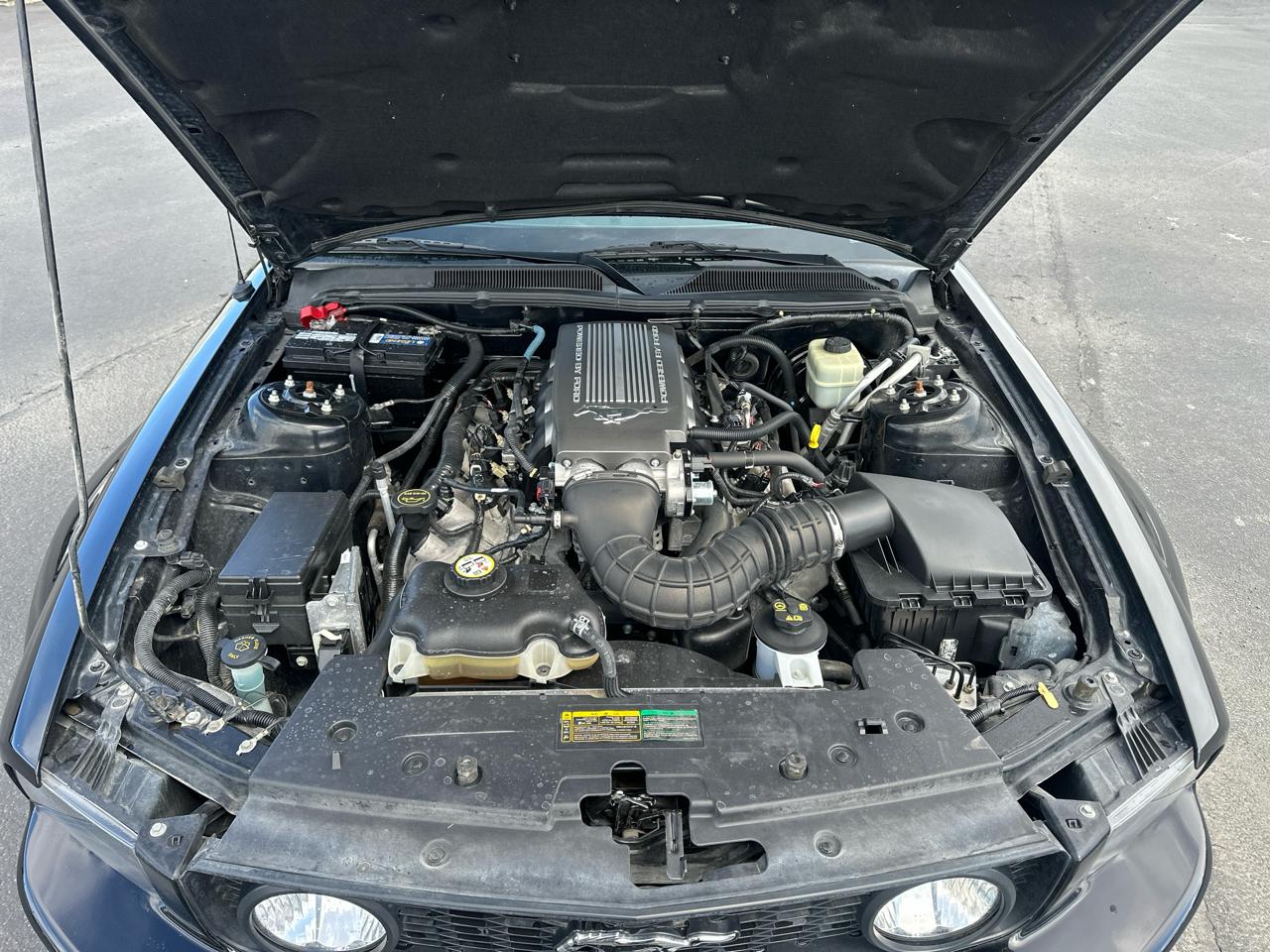 Ford Mustang GT Convertible  2007