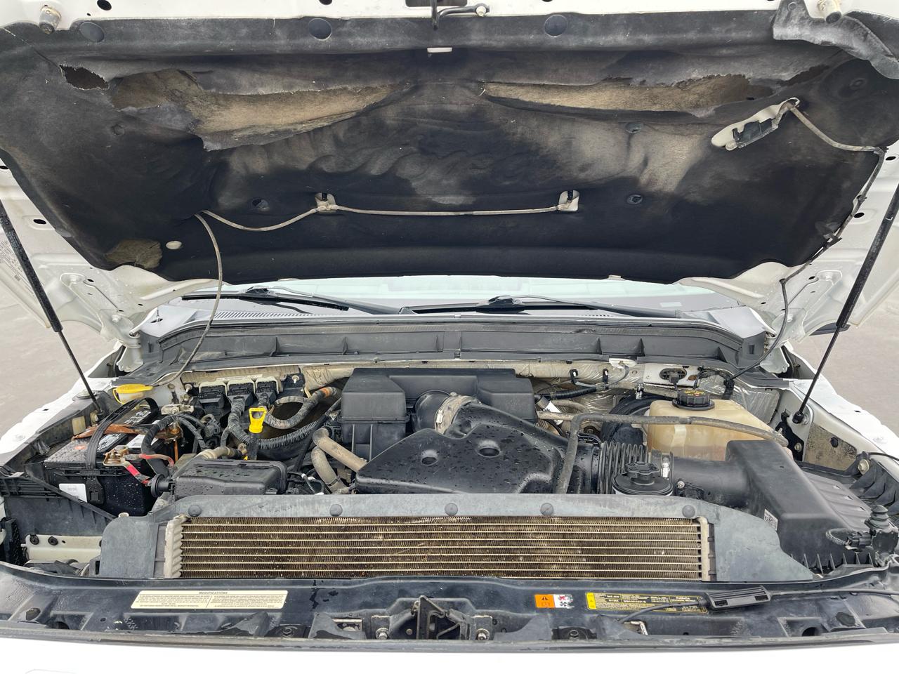 Ford Super Duty F-250 SRW 4WD Crew Cab 156" XLT 2012