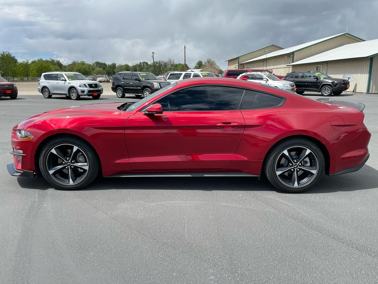 Ford Mustang EcoBoost Fastback 2022