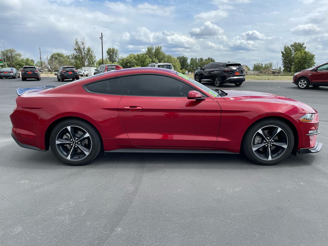 Ford Mustang EcoBoost Fastback 2022