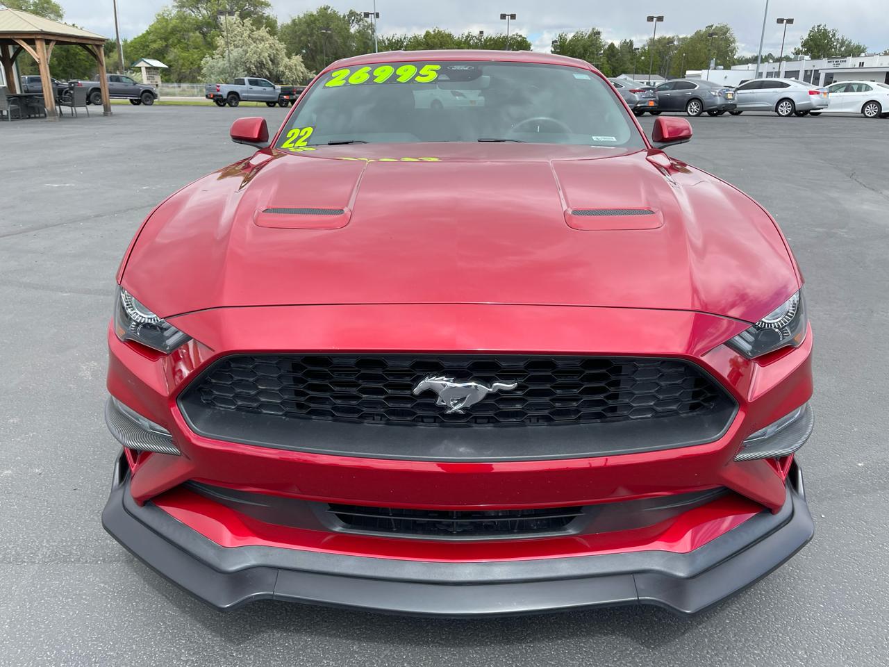 Ford Mustang EcoBoost Fastback 2022