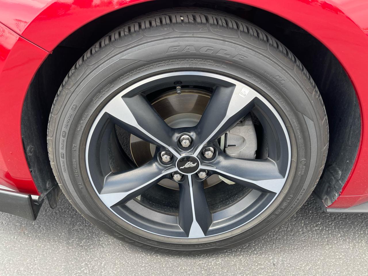 Ford Mustang EcoBoost Fastback 2022