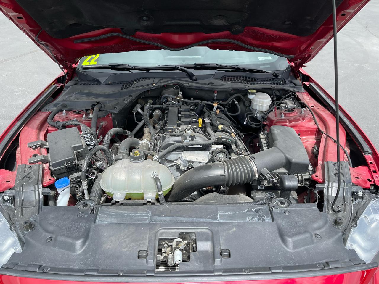 Ford Mustang EcoBoost Fastback 2022