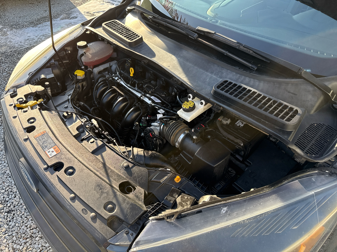 Ford Escape S 4D SUV FWD 2019