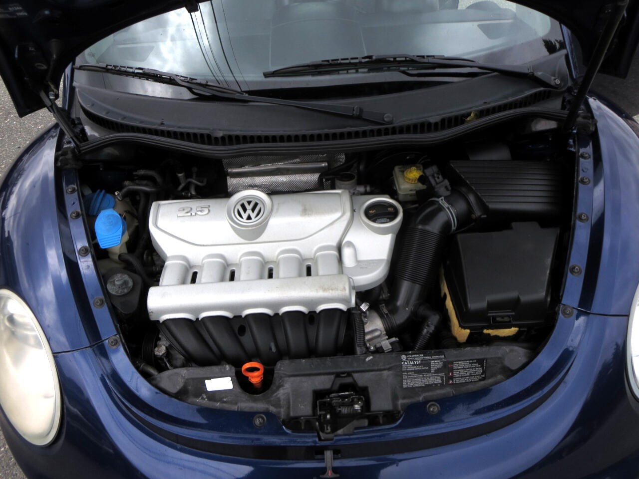 Volkswagen New Beetle S Convertible 2008 Volkswagen New Beetle S Convertible 2008