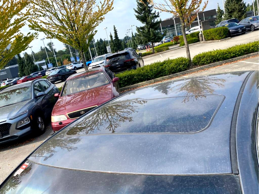 Toyota Camry Hybrid  2007 Toyota Camry Hybrid  2007