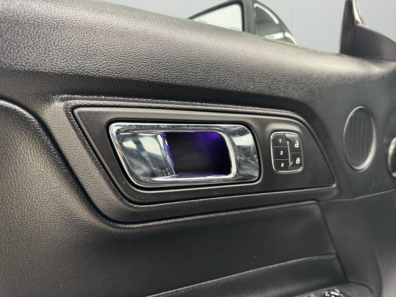 Ford Mustang GT Fastback 2017