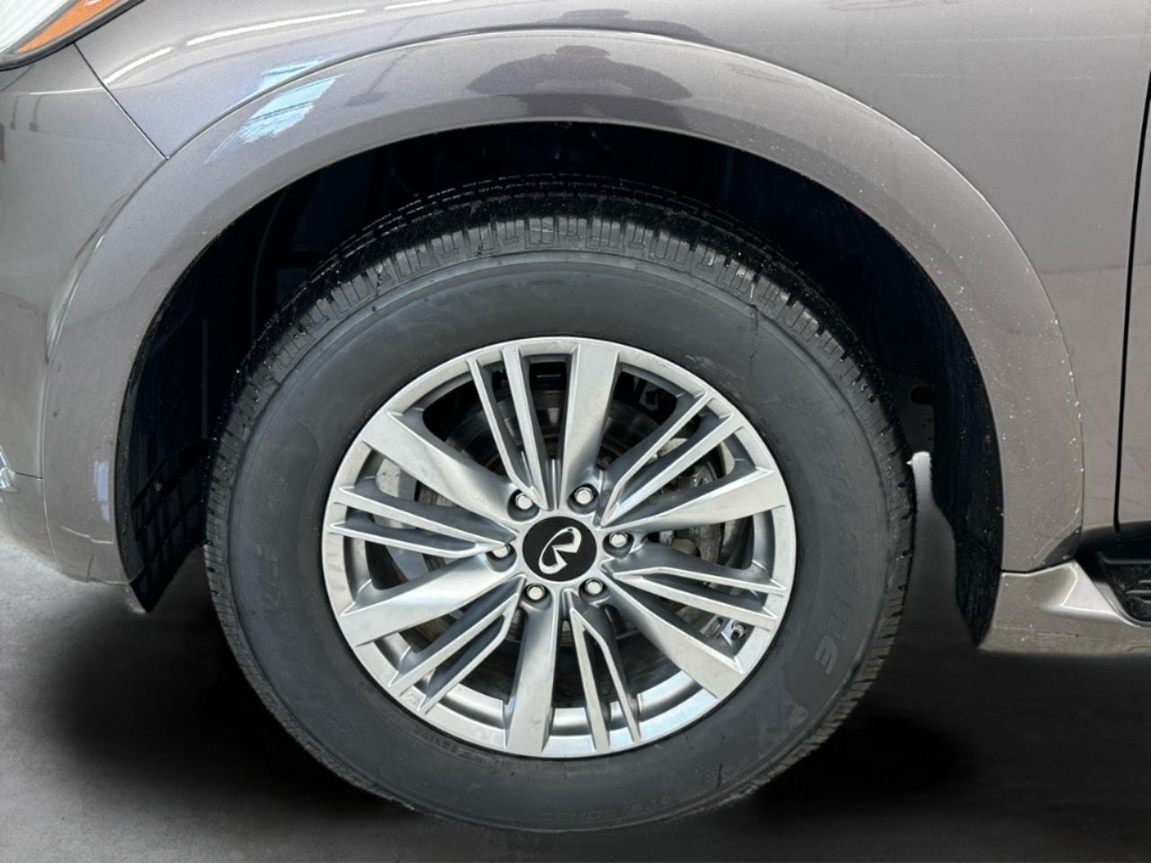 Infiniti QX80 LUXE RWD 2024