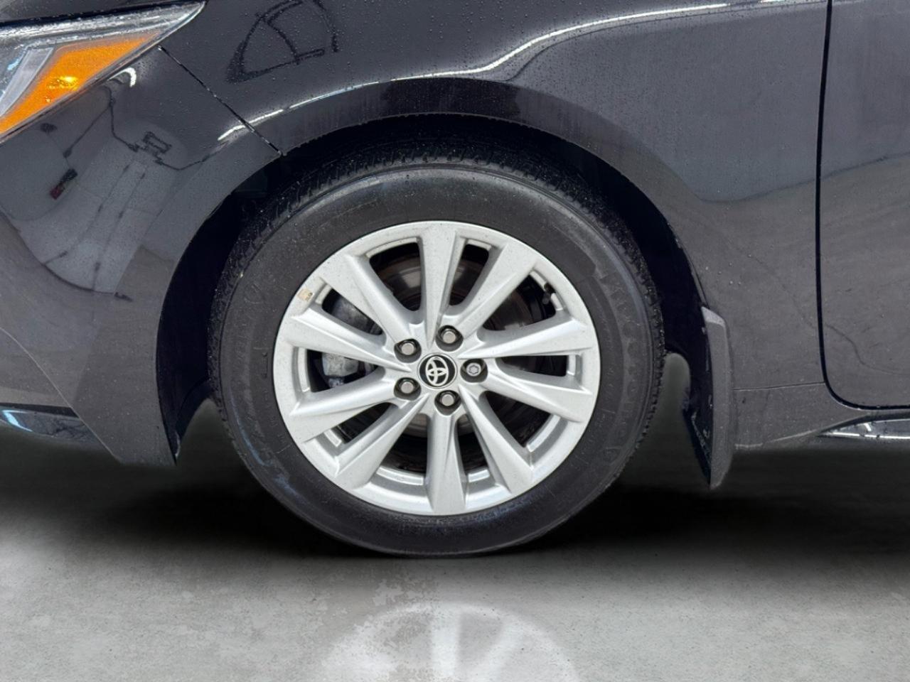 Toyota Corolla LE CVT (Natl) 2025