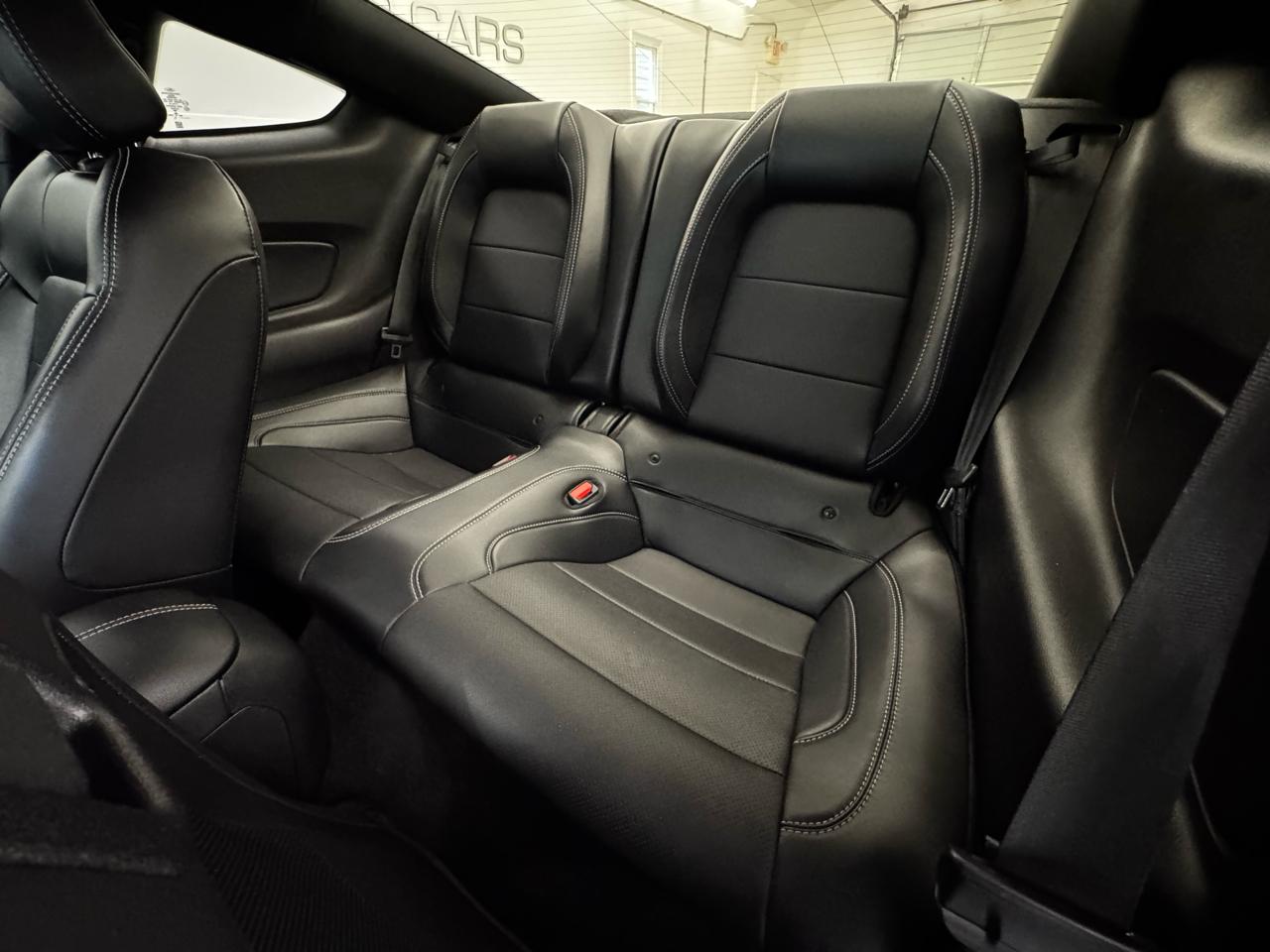 Ford Mustang GT Fastback 2021