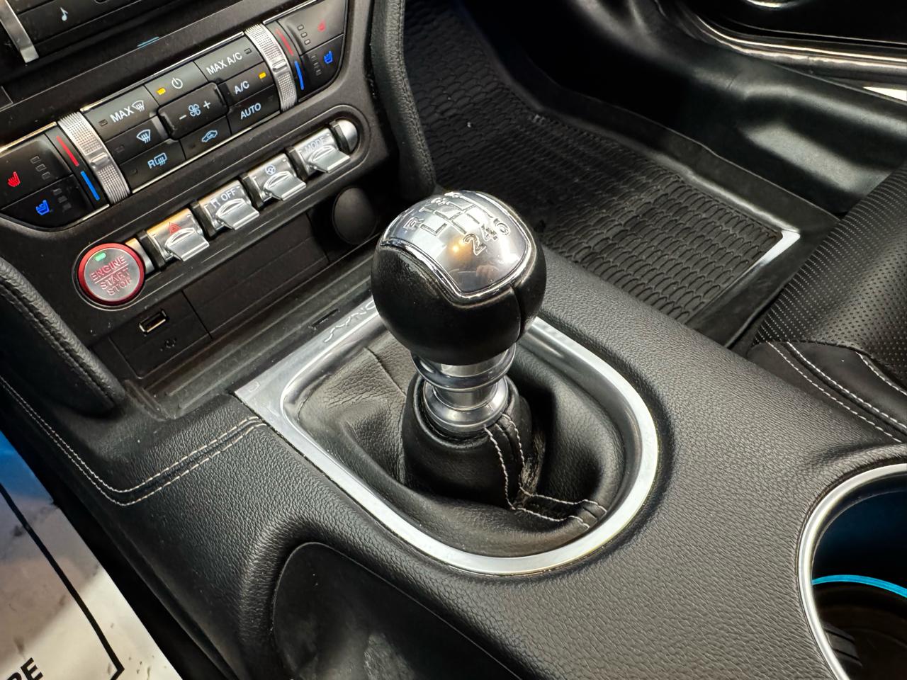 Ford Mustang GT Fastback 2021