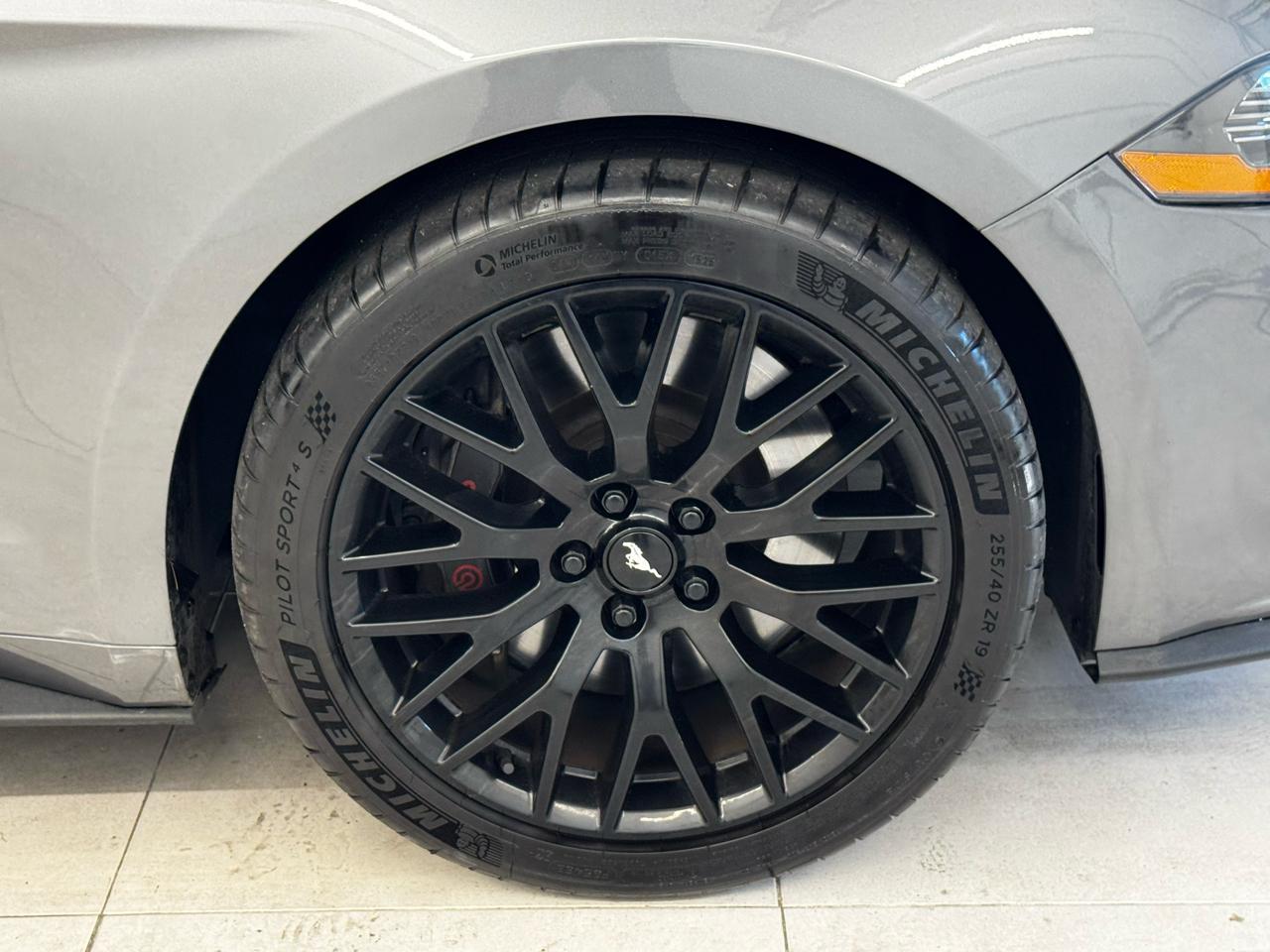 Ford Mustang GT Fastback 2021