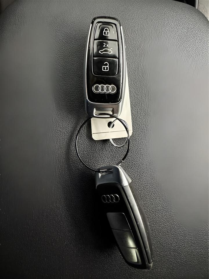 Audi Q8 Premium Plus 55 TFSI quattro 2019