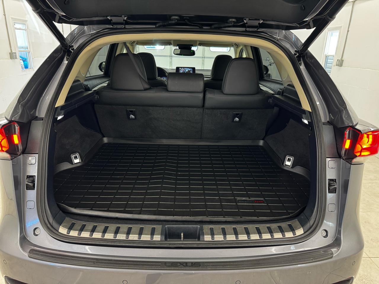 Lexus NX NX 300 AWD 2019