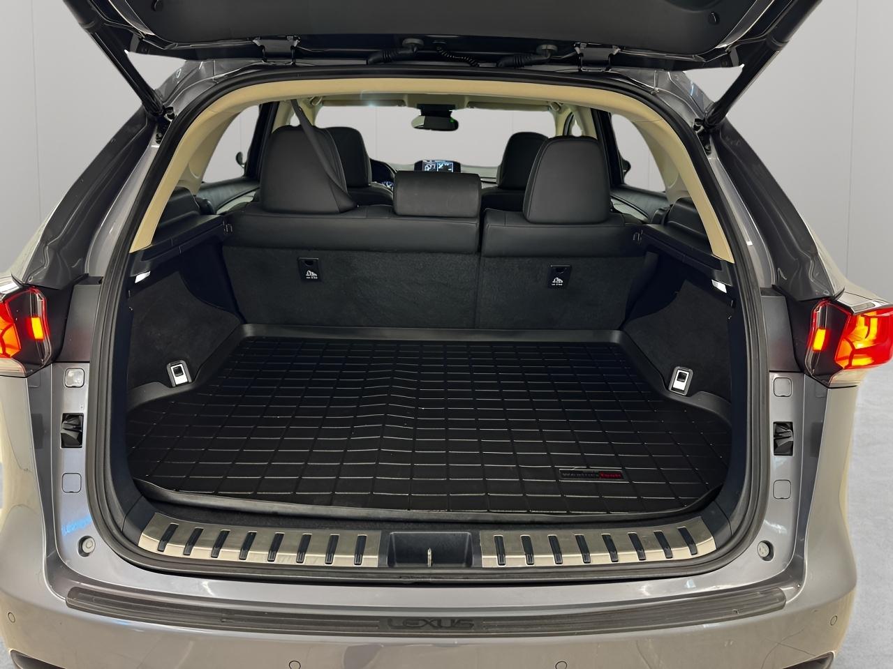 Lexus NX NX 300 AWD 2019