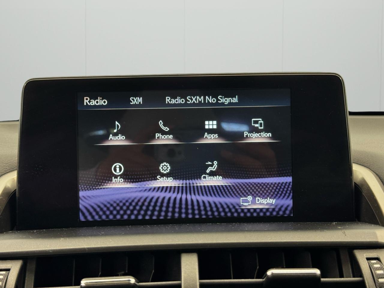 Lexus NX NX 300 AWD 2019