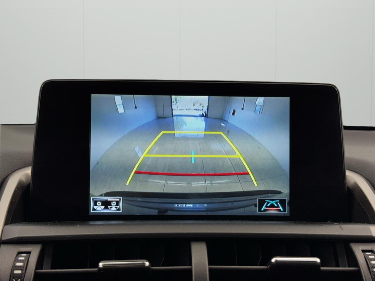 Lexus NX NX 300 AWD 2019