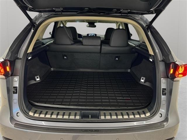 Lexus NX NX 300 AWD 2019