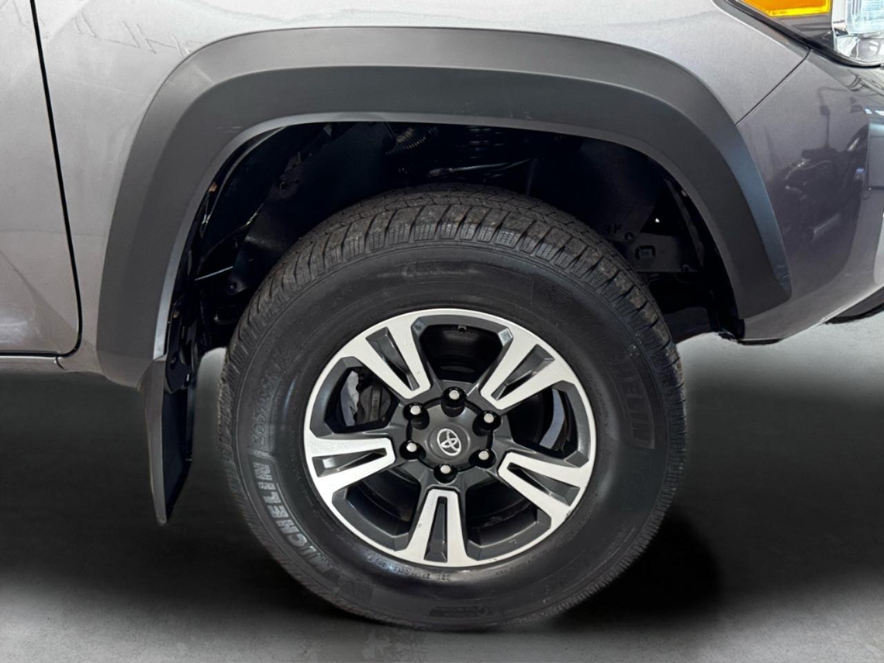 Toyota Tacoma 4WD TRD Off Road Double Cab 5' Bed V6 MT (Natl) 2021