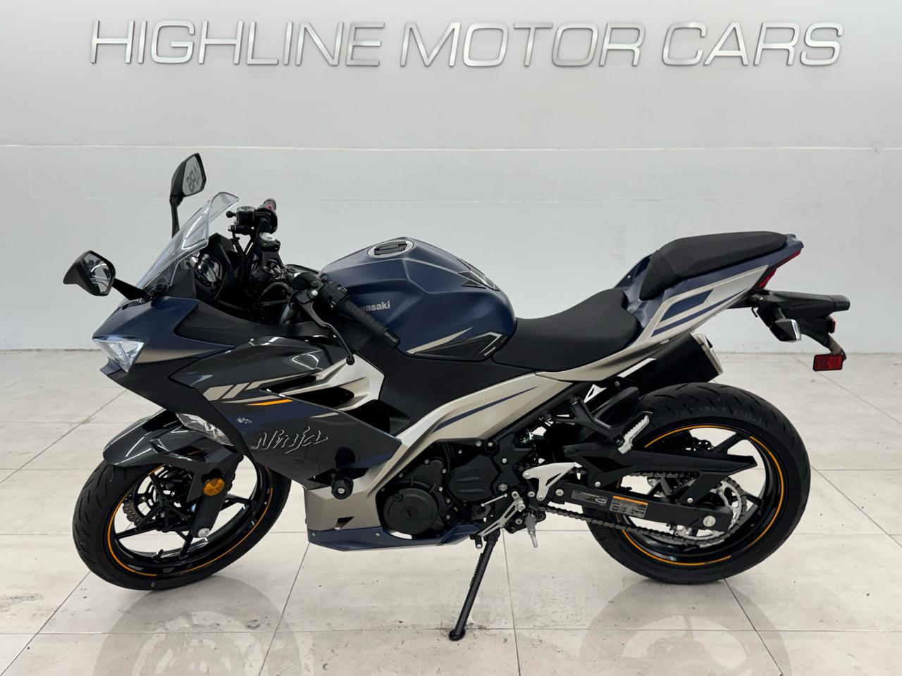Kawasaki Ninja 300 ABS  2023