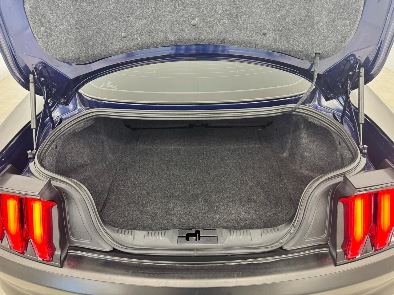 Ford Mustang GT Fastback 2020