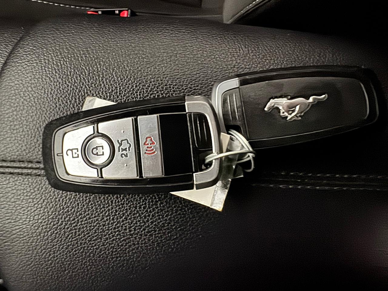 Ford Mustang GT Fastback 2020