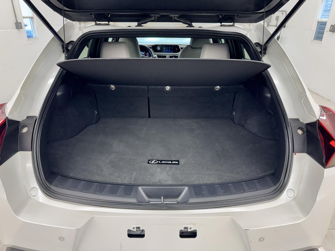 Lexus UX UX 250h AWD 2022