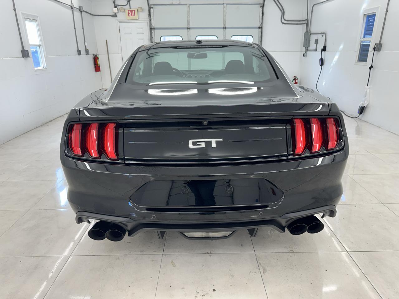 Ford Mustang GT Fastback 2019