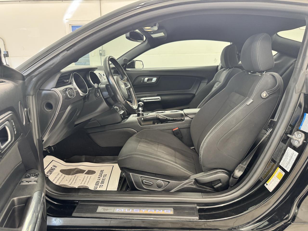 Ford Mustang GT Fastback 2019