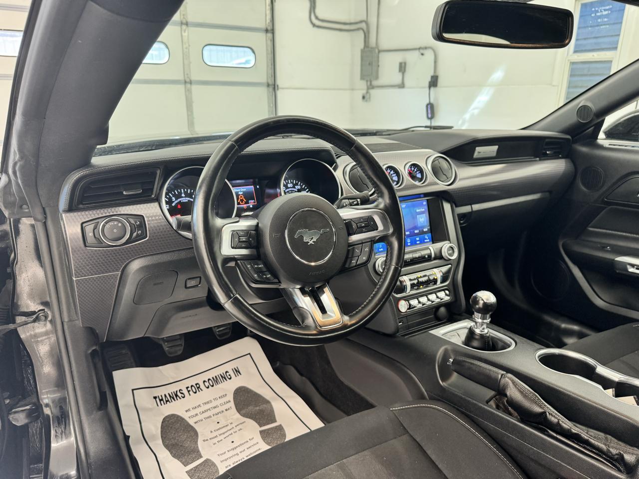 Ford Mustang GT Fastback 2019